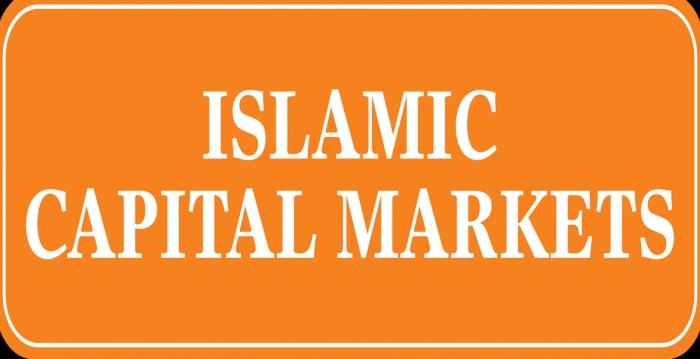 پیش‌نویس استاندارد اصول راهنما برای حمایت از سرمایه‌گذاران در بازارهای سرمایه اسلامی