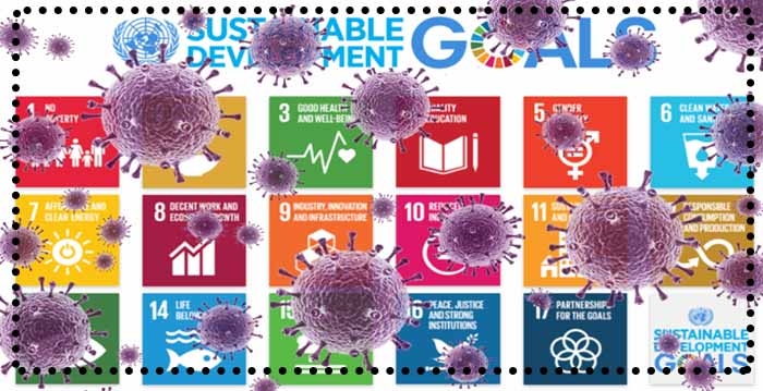 گزارش مشترک با موضوع اهداف توسعه پایدار (SDGs)