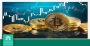 تشکیل رمزارز اسلامی؛ دور از ذهن/ پیمان‌های پولی در شرایط تحریم محدودکننده است