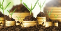 چرایی تفاوت در الگوهای بانکداری اسلامی